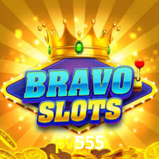 Premium Interface pv555