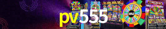 VIP Casino pv555